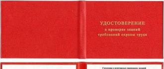 Что проверяет трудовая инспекция и на каких основаниях?