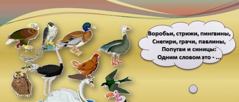 Презентация на тему
