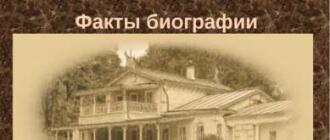 Презентация по литературе на тему