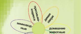 Презентация с загадками про животных