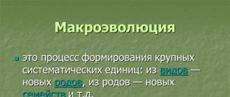 Презентация к уроку «Микро- и макроэволюция