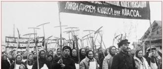 Почему была нужна коллективизация?