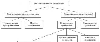 Виды организационно-правовых форм организаций