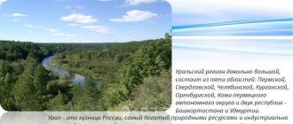 Презентация на тему экология лесов южного урала