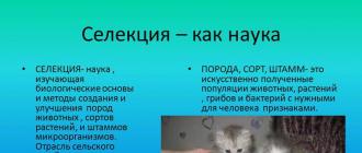 Презентация