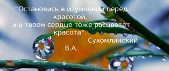Презентация
