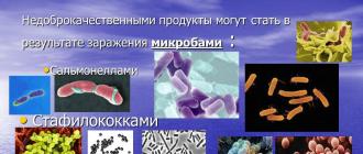 Презентация на тему: пищевые отравления человека и Отравления водой разработка и презентация
